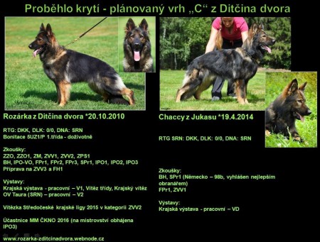chaccy---rozarka.jpg